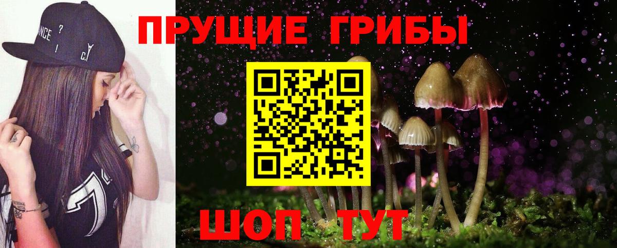Лсд 25  ГАШИШ  ТГК  Вход с VPN  МЕТАМФЕТАМИН  Бошки Шишки  Мефедрон   Богородск  Где купить наркотики?  Кокаин  ЭКСТАЗИ  NBOMe 